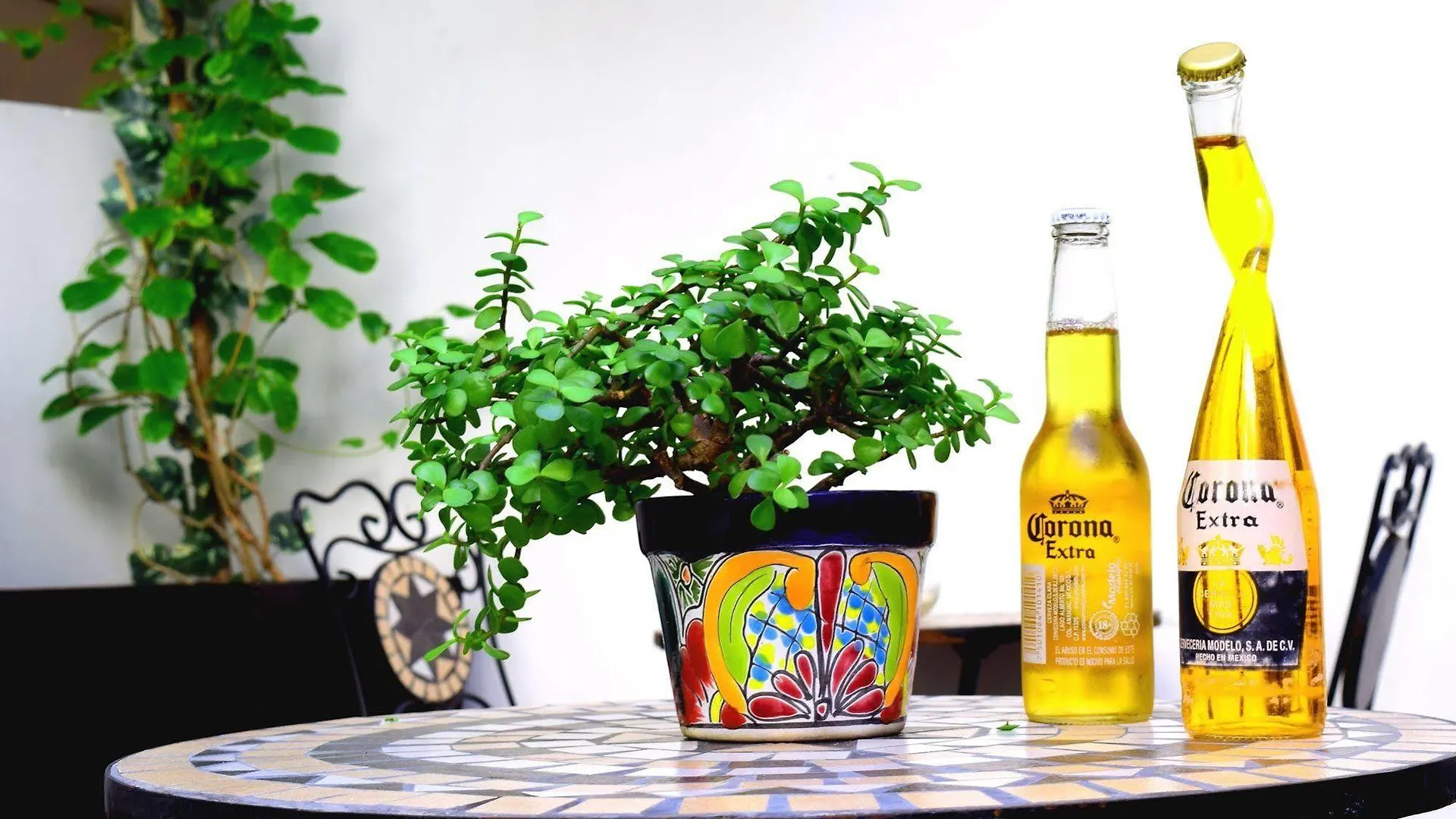 Caribe Corazon Hotel Boutique Playa del Carmen